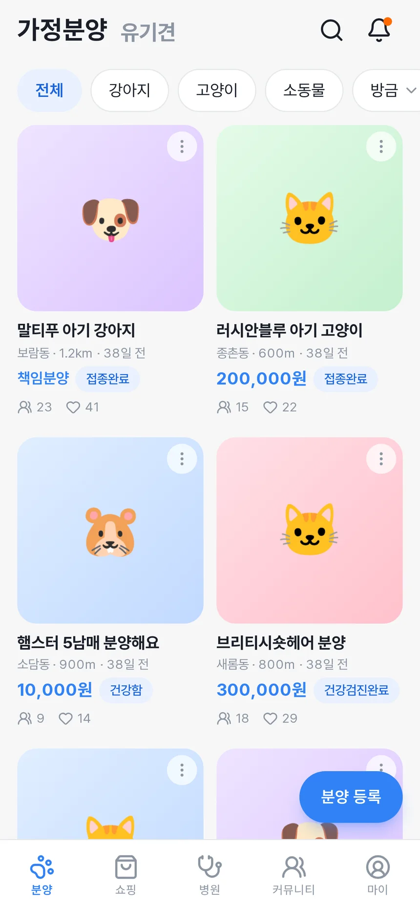 펫벨 분양 탭 — 가정분양 피드에 말티푸·러시안블루 등 분양 글이 카드로 나열된 실제 화면